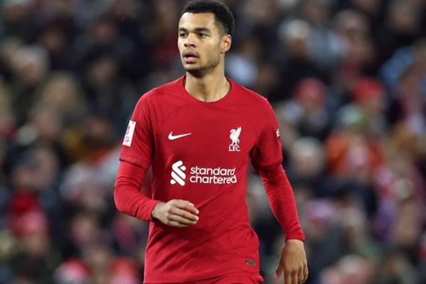 คูมันเสียใจที่ Cody Gakpo ย้ายไปลิเวอร์พูล